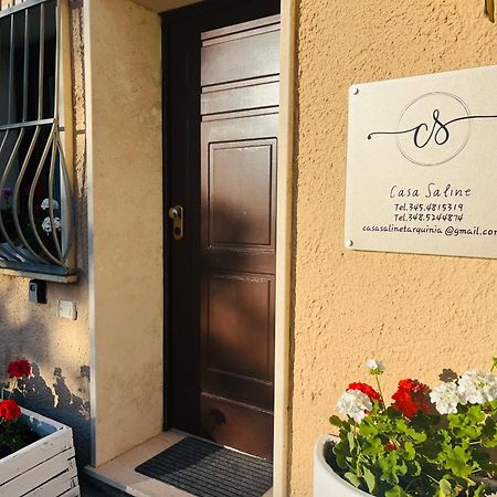 Casa Saline Apartment ตาร์กวิเนีย ภายนอก รูปภาพ