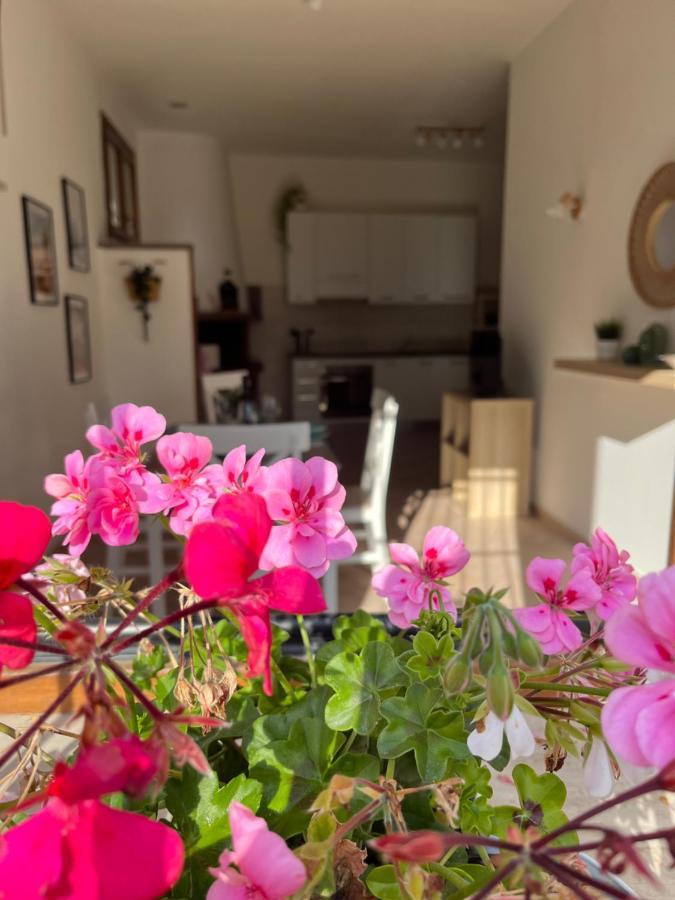 Casa Saline Apartment ตาร์กวิเนีย ภายนอก รูปภาพ